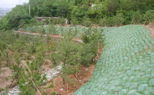 �c���鿴Ԕ����Ϣ���}�����B��ʩ�� ��x�Δ���1971